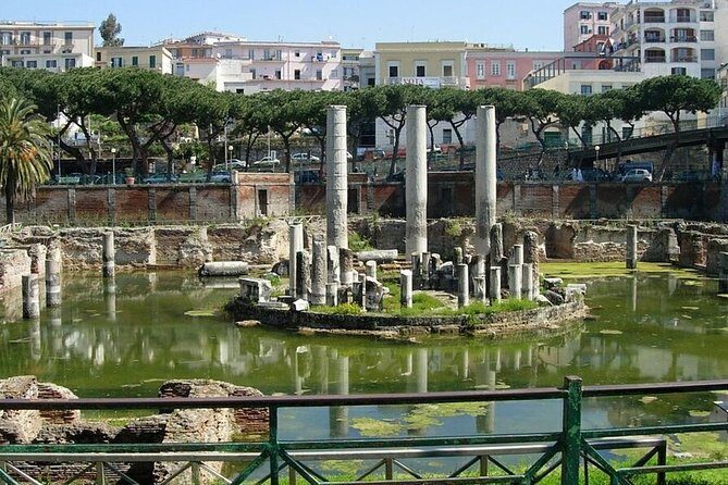 Private Tour from Naples to Phlegrean Fields, Pozzuoli, and Cuma - References