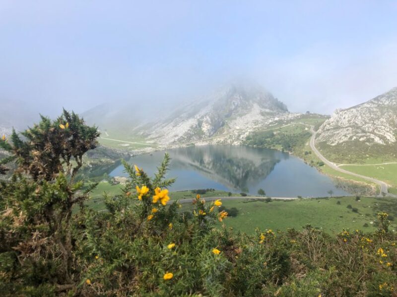 Private Tour from Oviedo to Covadonga and Europe Peaks lakes - Is This Tour Worth It?