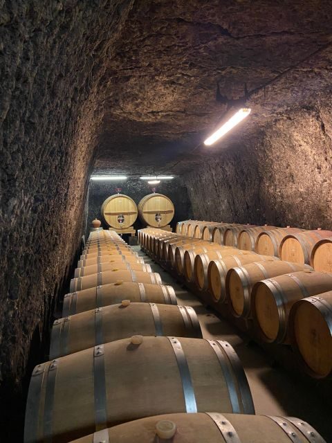 Private Tour from Paris to Loire Castles & Michelin Lunch - Who Would Love This Tour?