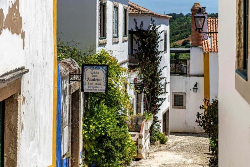 Private Tour from Porto: Aveiro, Nazaré, and Óbidos Round Trip - Analyzing the Cost and Value