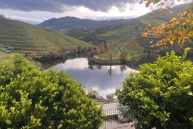 Private Tour From Porto To Douro Valley With River Boat Ride - Visiting Quinta do Tedo: A Deep Dive into Winemaking