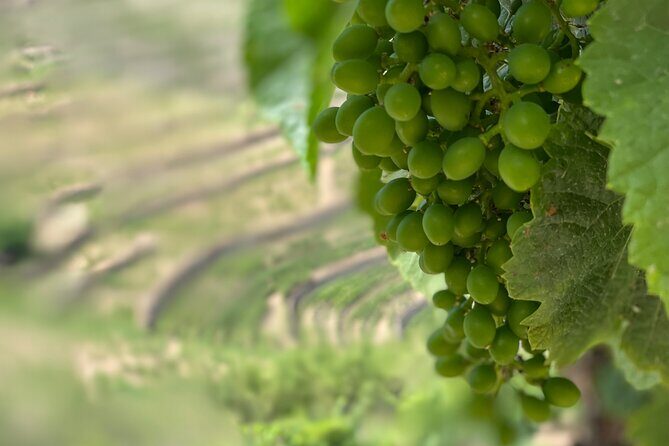 Private Tour From Porto To Douro Valley With River Boat Ride - Lunch in Pinhao: A Taste of Northern Portugal