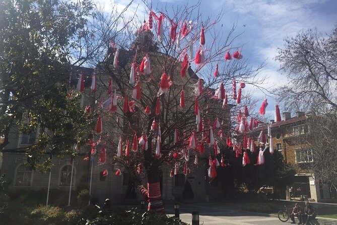 Private Tour from Sofia to Plovdiv - An In-Depth Look at the Tour Experience