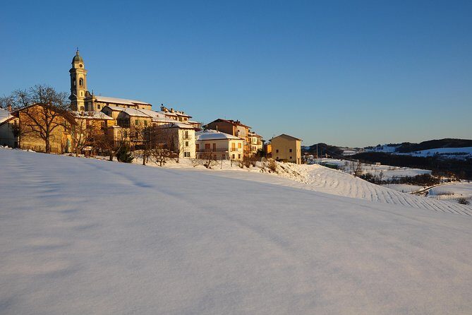 Private tour from Turin: Full day Langhe Region with its Colors and Flavors - An In-Depth Look at the Full-Day Langhe Region Tour