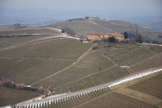 Private tour from Turin: Full day Langhe Region with its Colors and Flavors - Who Will Love This Tour?