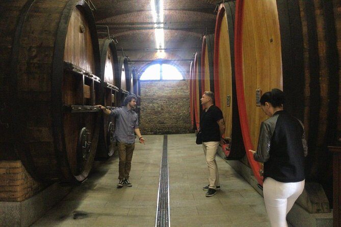 Private tour from Turin: Full day Langhe Region with its Colors and Flavors - Final Thoughts
