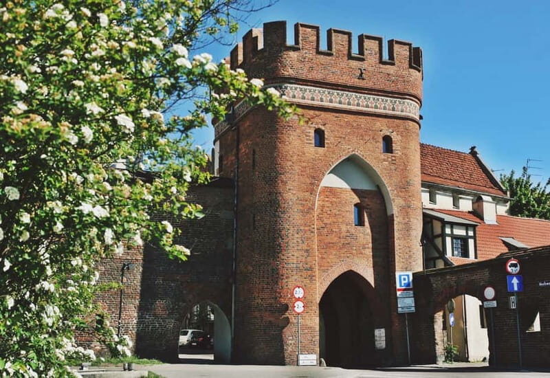 Private tour from Warsaw to Torun - Who Should Consider This Tour?
