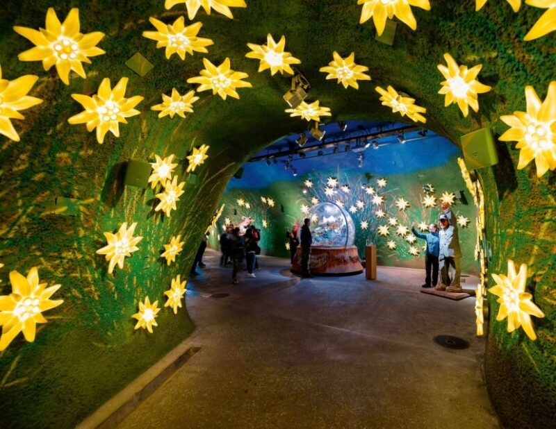 Private Tour from Zurich to Jungfraujoch - The Top of Europe - The Review Highlights from Travelers