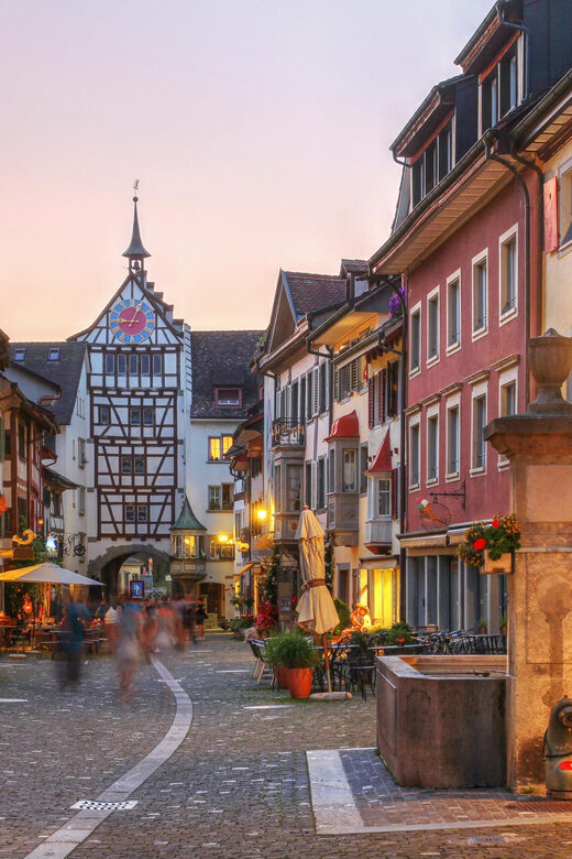 Private tour from Zurich to Rhine Falls & Stein am Rhein - Who Is This Tour Best For?