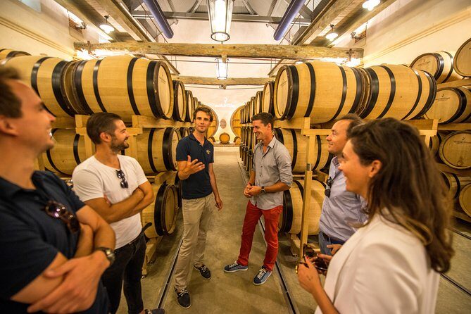 Private tour: Full Day Veuve Clicquot to Reims or Epernay region - Practical Considerations