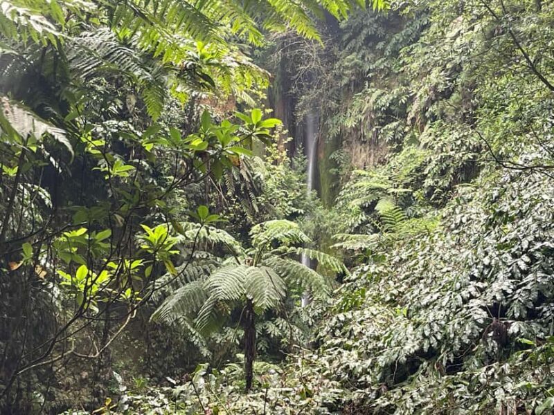 Private Tour Furnas: Furnas Lake Hike & Terra Nostra Park - Final Thoughts: Is This Tour Right for You?