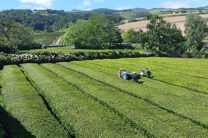 Private Tour Furnas Lake & Hot Springs - FAQs
