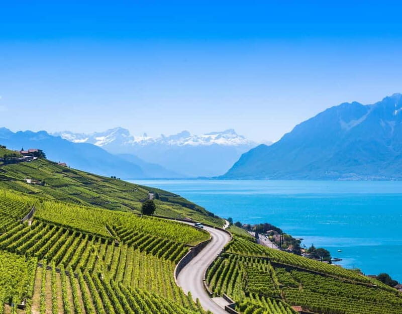 Private tour Geneva-Gruyère's: chocolate and cheese factory - Key Points