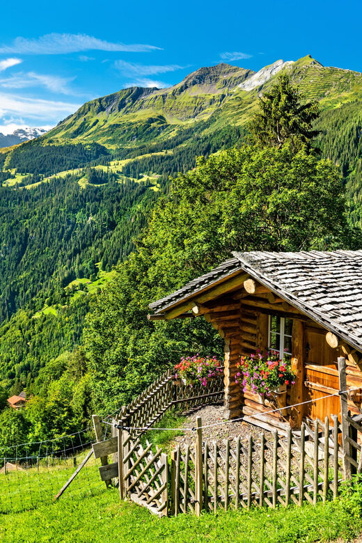 Private tour Geneva-Gruyère's: chocolate and cheese factory - Who Should Consider This Tour?