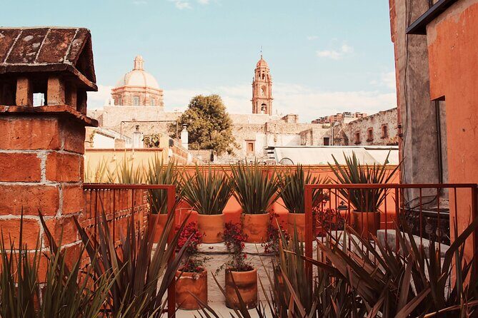 Private Tour Guide in San Miguel de Allende - Who Is This Tour Best For?
