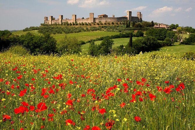 Private Tour: Guided Hike in Tuscany with Transport from Siena - Final Thoughts