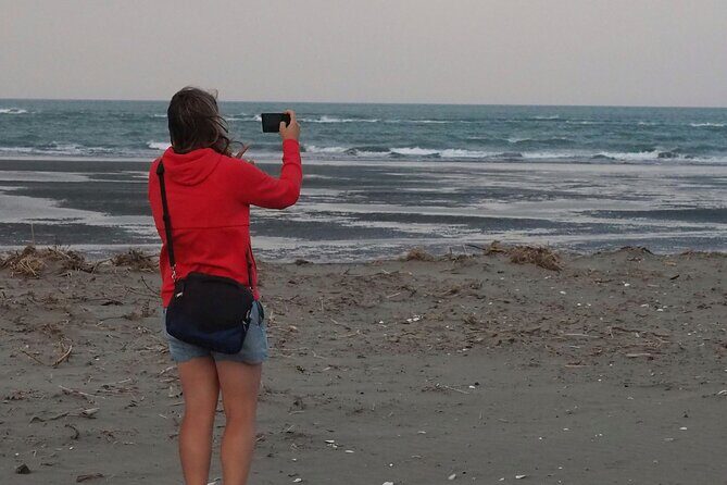 Private Tour Highlights of Christchurch NZ - What We Liked and Noticed