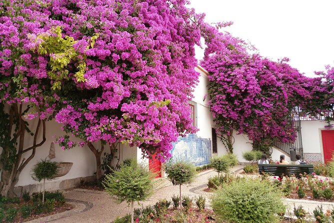 Lisbon Highlights - Private Tour with Van and Local Guide - Important Limitations and Scheduling Notes