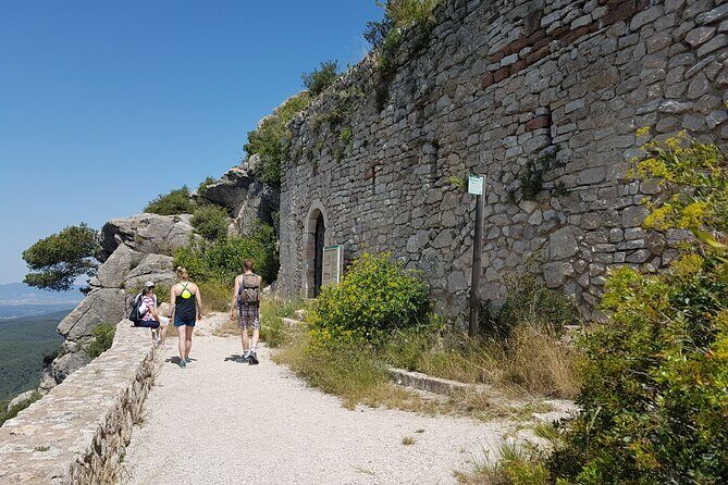 Private Tour - Hike and wine tasting at the Penedés - The Experience’s Strengths and Considerations