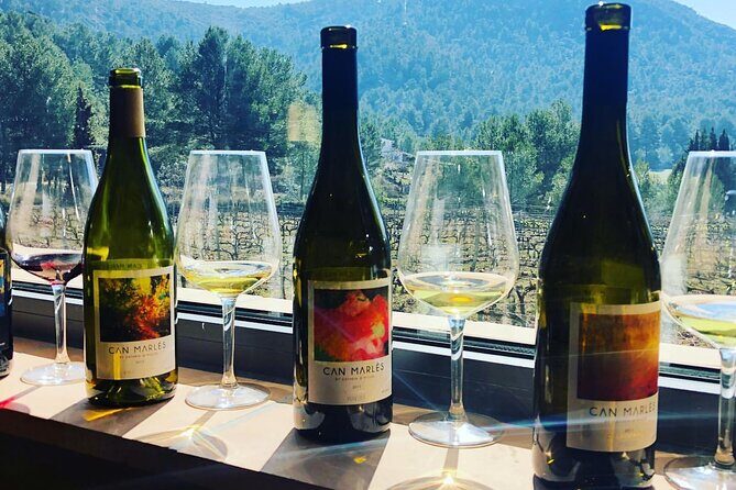 Private Tour - Hike and wine tasting at the Penedés - FAQ: Common Questions About the Tour