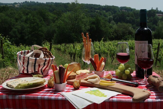 Private Tour in 2cv in the Vineyards with Tasting and Picnic - What Makes This Tour Stand Out?