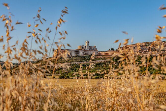 Private Tour in Basilica of St. Francis of Assisi - Who Would Love This Tour?
