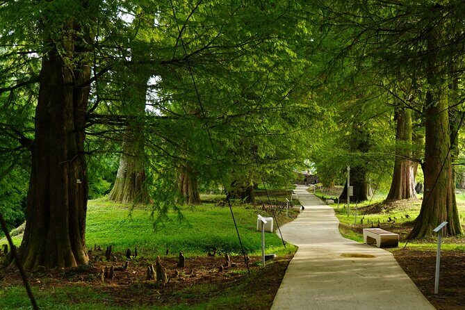 Private Tour in Batumi and Dendrological Park from Kutaisi - Frequently Asked Questions