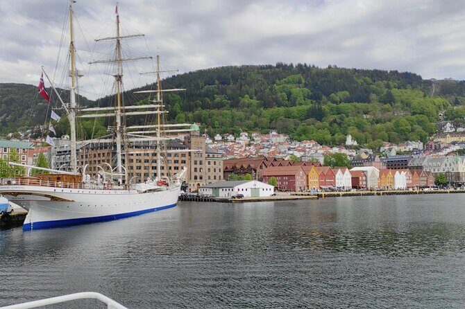 Private Tour in Bergen with Professional Guides - Key Points