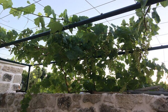 Private Tour in Chania Monasteries - Final Thoughts