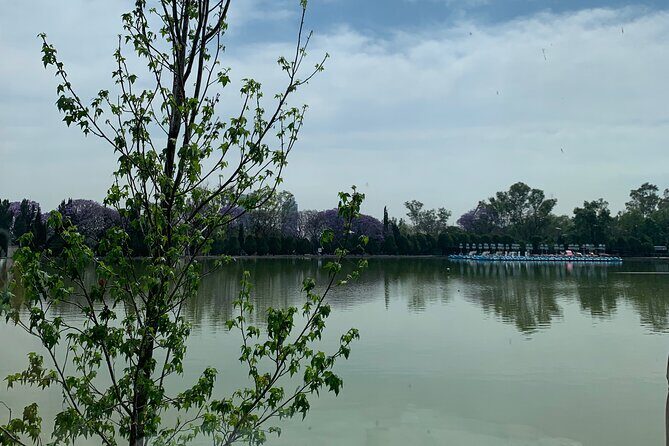 Private Tour in Chapultepec and Museum of Anthropology - An In-Depth Look at What You’ll Experience