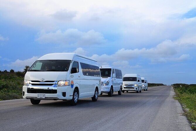 Private Tour in Cozumel in your own way Groups up to 14 People - Key Points