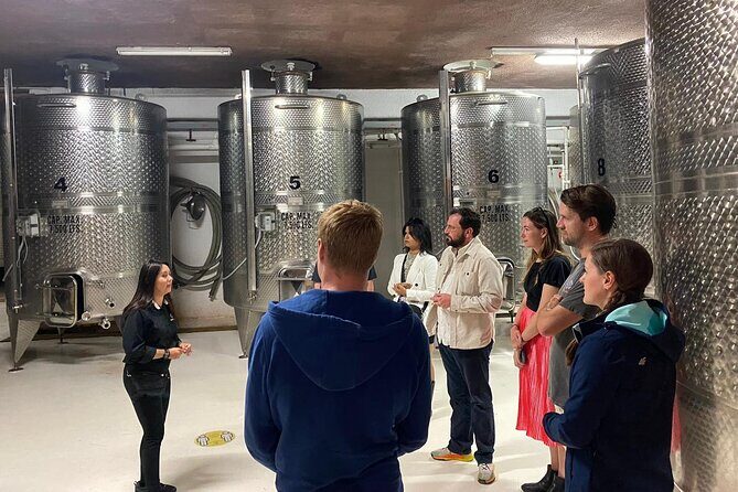 Private Tour in Guadalupe Valley, Vine Yards & Wine Route ENS MX - What Could Be Improved