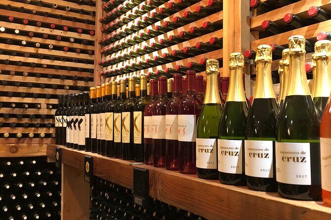 Private Tour in Guadalupe Valley, Vine Yards & Wine Route ENS MX - Final Thoughts