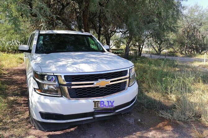 Private Tour in Guanajuato Capital Leaving San Miguel Allende - The Value of the Experience