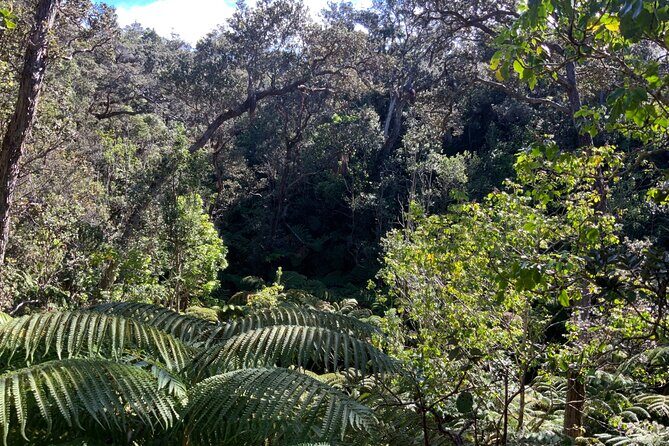 Private Tour in Hilo & Kona - Final Thoughts