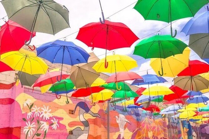 Private Tour in Houston With Street Food and Local Guide - The Pros and Cons