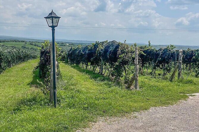 Private Tour in Jalostotitlán and Cerca Blanca Vineyard - The Experience in Detail