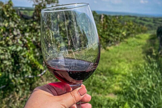 Private Tour in Jalostotitlán and Cerca Blanca Vineyard - Practical Details