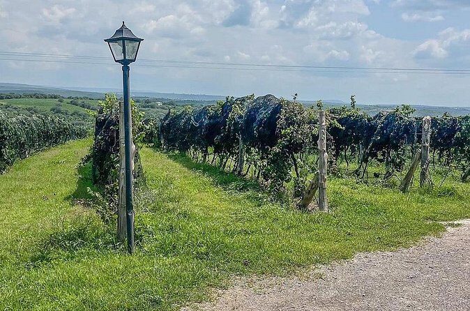 Private Tour in Jalostotitlán and Cerca Blanca Vineyard - Final Thoughts: Is This Tour Right for You?