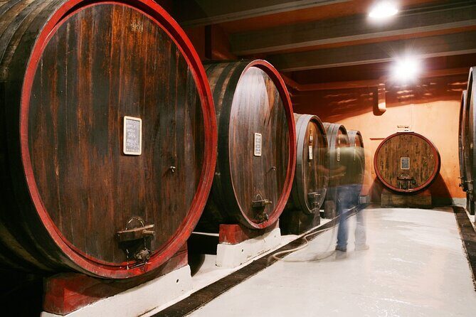 Private Tour in the Cellar and Tasting of Langhe Wines - Key Points