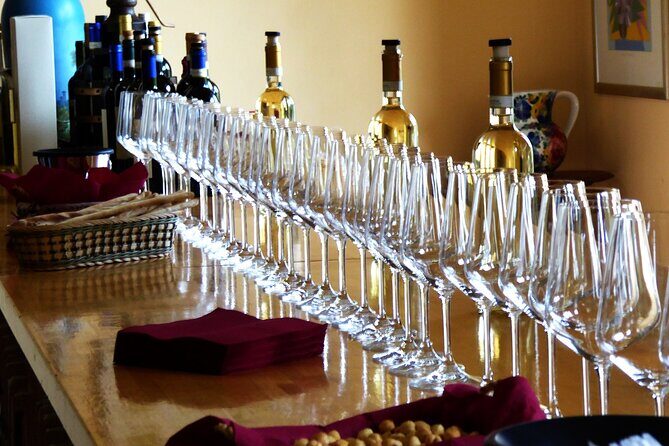 Private Tour in the Cellar and Tasting of Langhe Wines - Final Thoughts