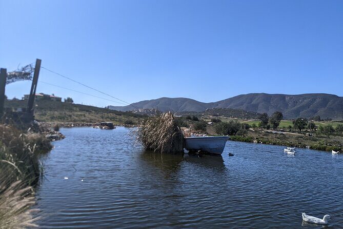 Private Tour in Valle De Guadalupe - Who Is This Tour Best For?