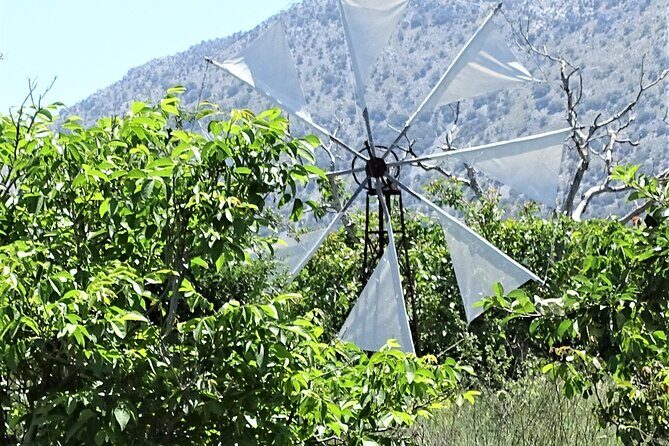Private Tour-Knossos Palace Zeus Cave Olive Oil Mill & Wine - A Full Day of Culture, History, and Scenic Sights