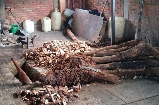 Private tour Mitla, Weavers town, Mezcal and Boil the water - Real Insights from Others