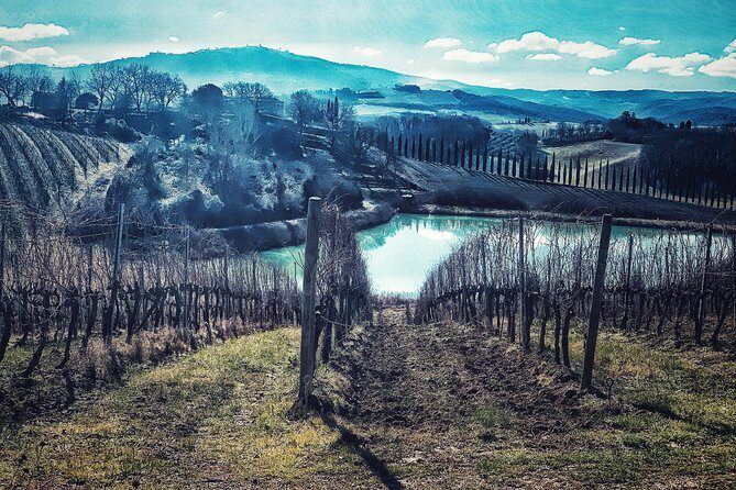 Private Tour: Montalcino Wine Tasting Experience - Authentic Traveler Feedback