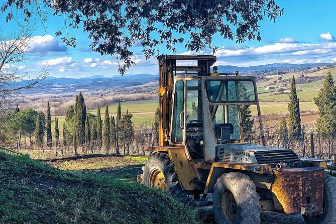 Private Tour: Montalcino Wine Tasting Experience - Final Thoughts