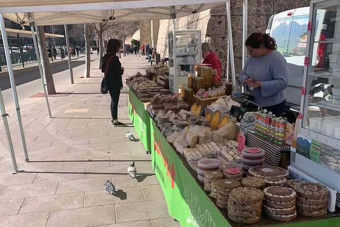 Private Tour: Montserrat and Cava Visit - Final Thoughts