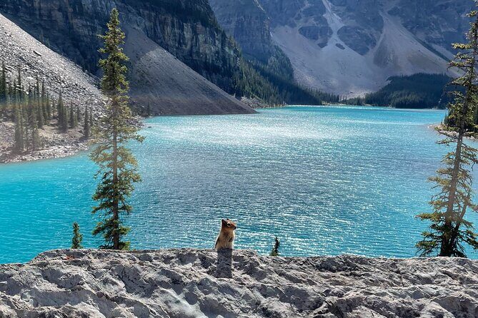 Private Tour Moraine Lake, Lake Louise & Emerald Lake - FAQ