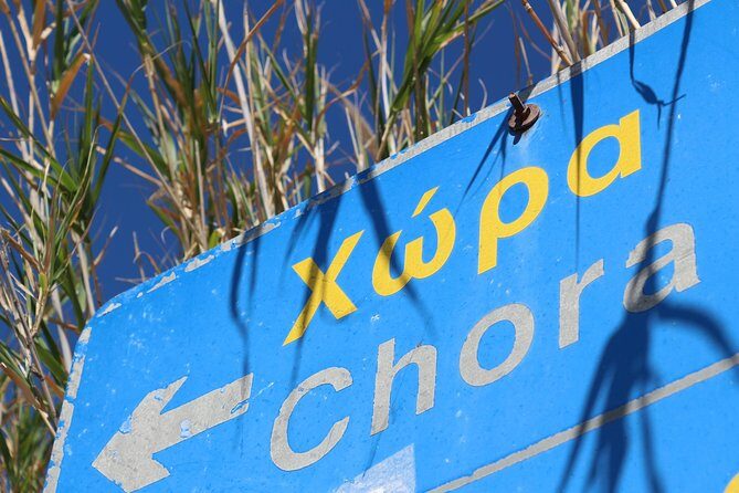 Private Tour: Mykonos Island in Half a Day - The Value of a Private Half-Day Tour