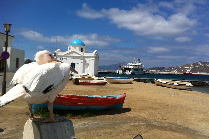 Private Tour: Mykonos Island in Half a Day - Comfort, Weather, and Real-World Logistics